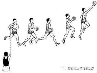 哪里有适合初学者的篮球训练管理指南_1